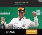 Nico Rosberg 2015 Brezilya Grand Prix zaferi kutluyor